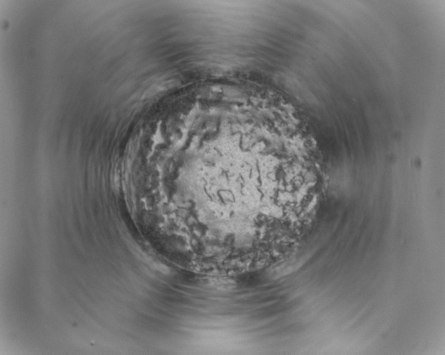 X0000088590719200706081328