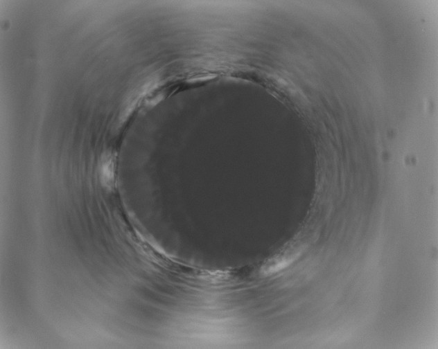 X0000088590720200706081328