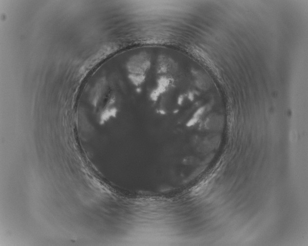 X0000088590721200706081327