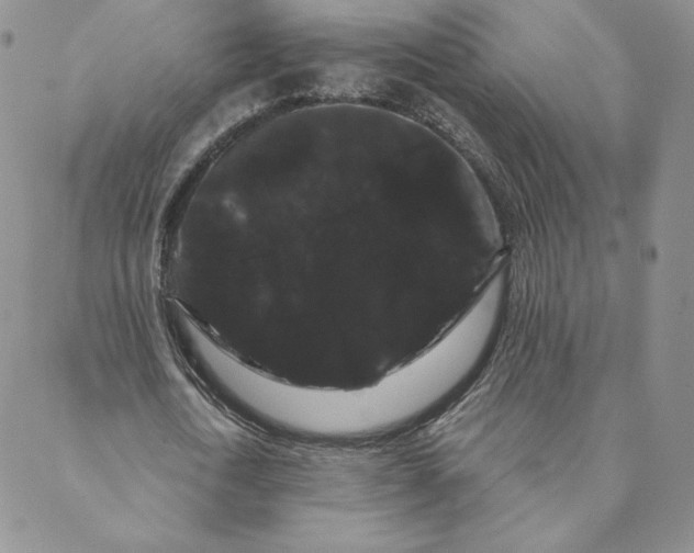 X0000088590722200706081327