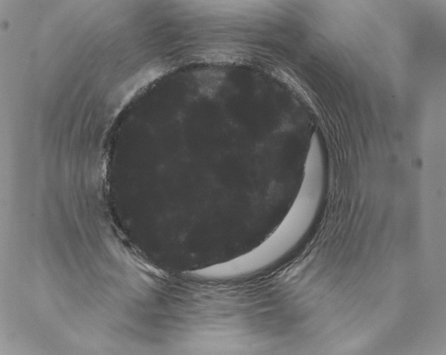 X0000088590723200706081327