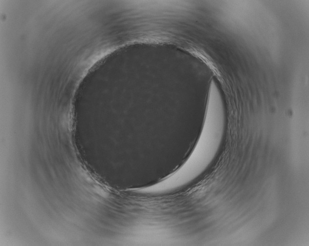 X0000088590724200706081327