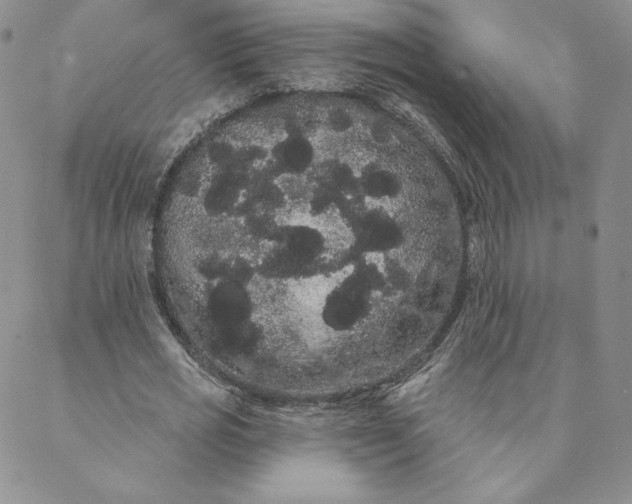 X0000088590725200706081327