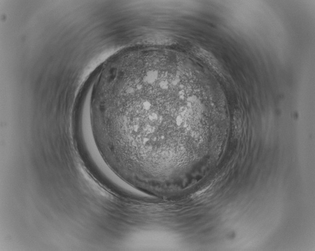 X0000088590726200706081327