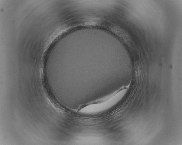 X0000088590728200706081327