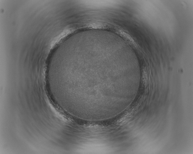 X0000088590730200706081327