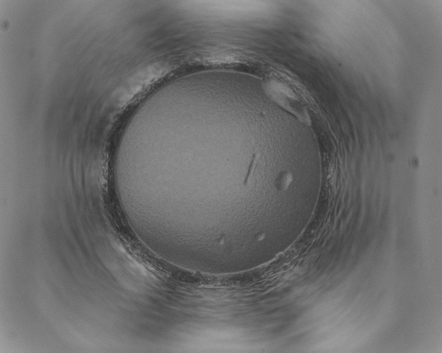 X0000088590732200706081327