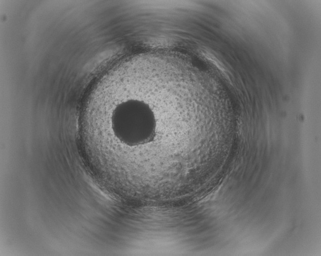 X0000088590733200706081327