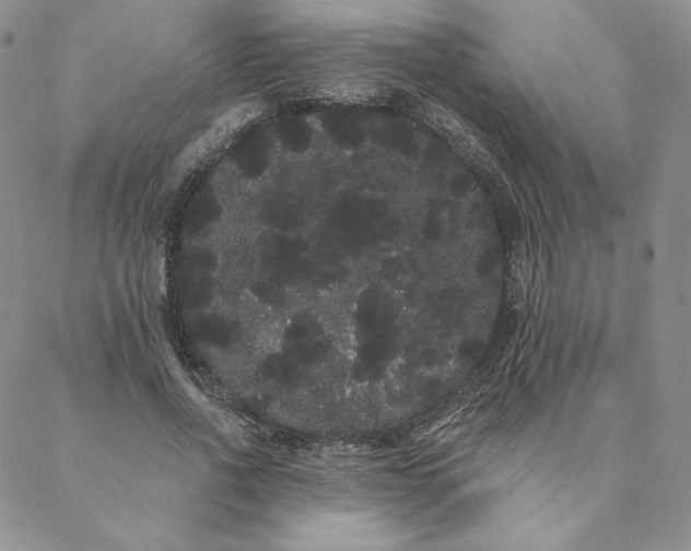 X0000088590734200706081327