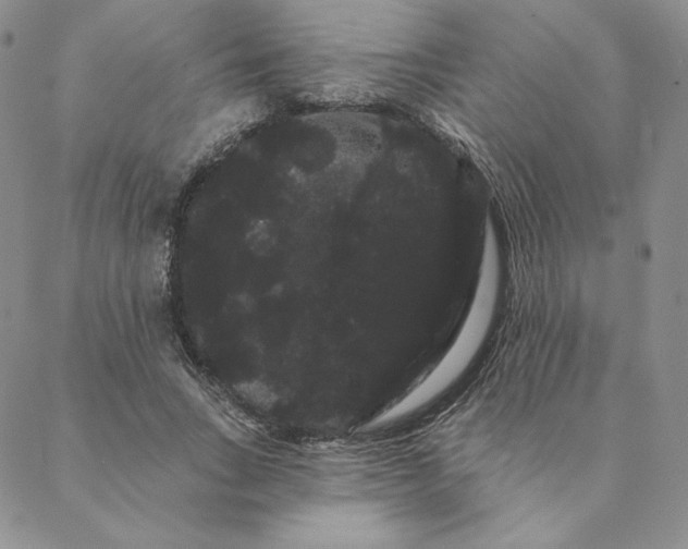 X0000088590735200706081327