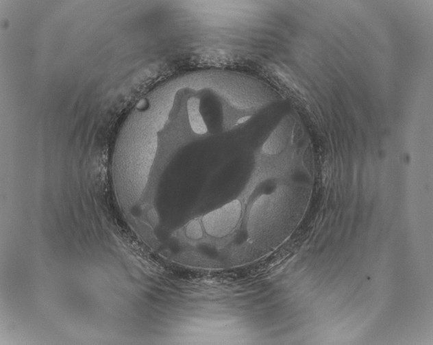 X0000088590737200706081327