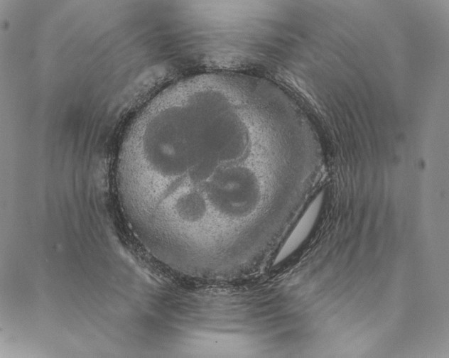 X0000088590738200706081327