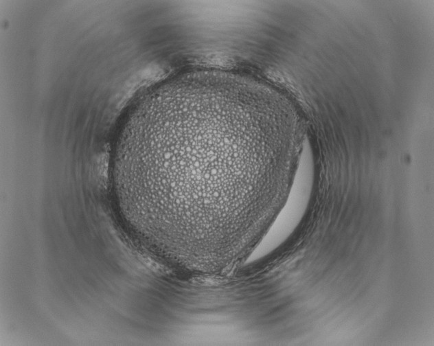 X0000088590739200706081327