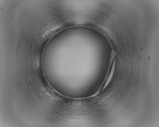 X0000088590740200706081327