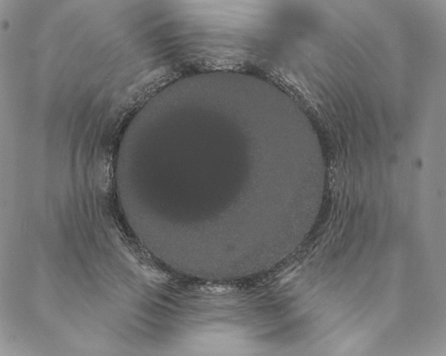 X0000088590741200706081327