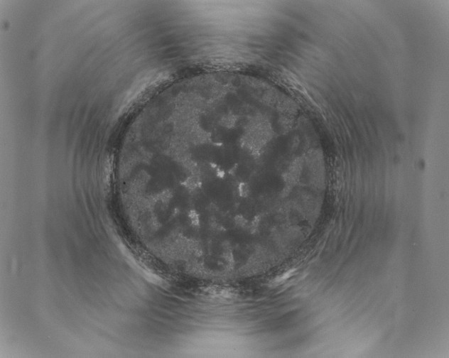 X0000088590742200706081327