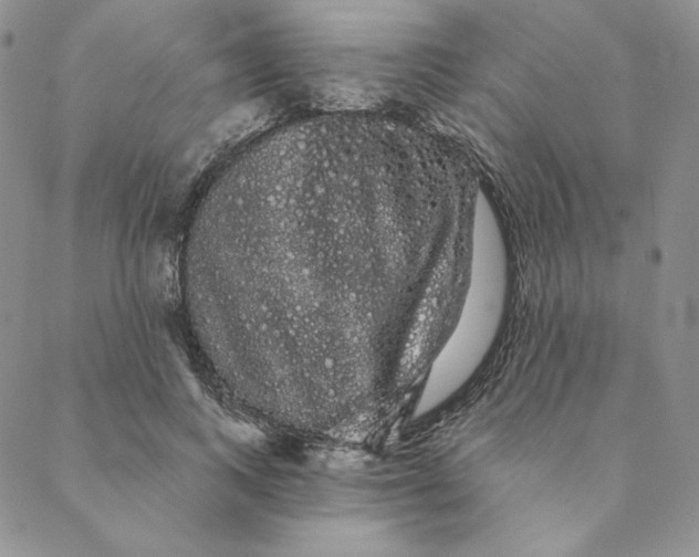 X0000088590743200706081327