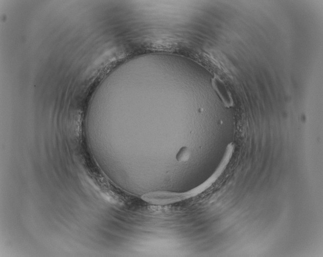 X0000088590744200706081327