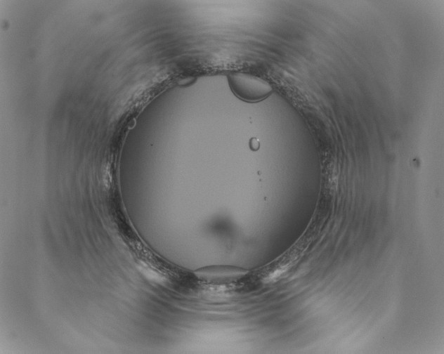 X0000088590746200706081327