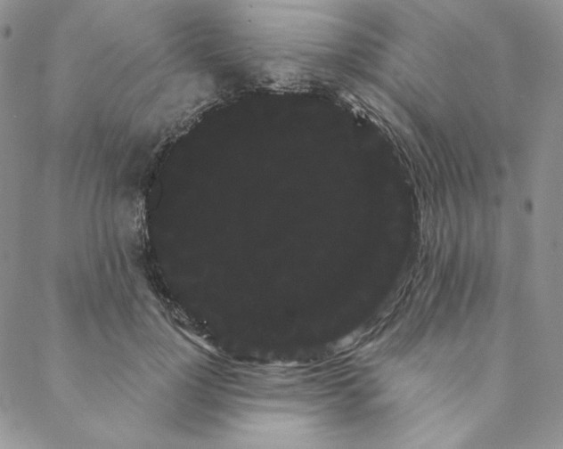 X0000088590748200706081327