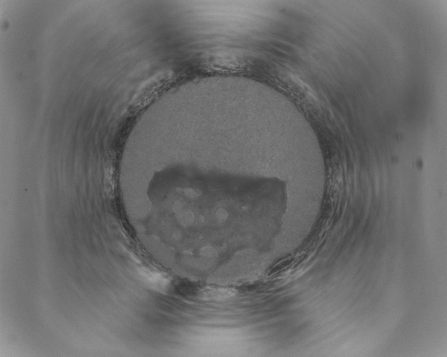 X0000088590749200706081327