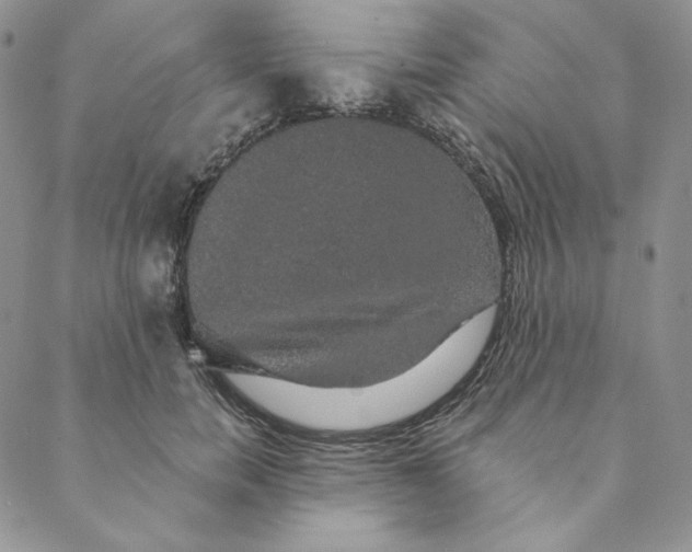 X0000088590750200706081327