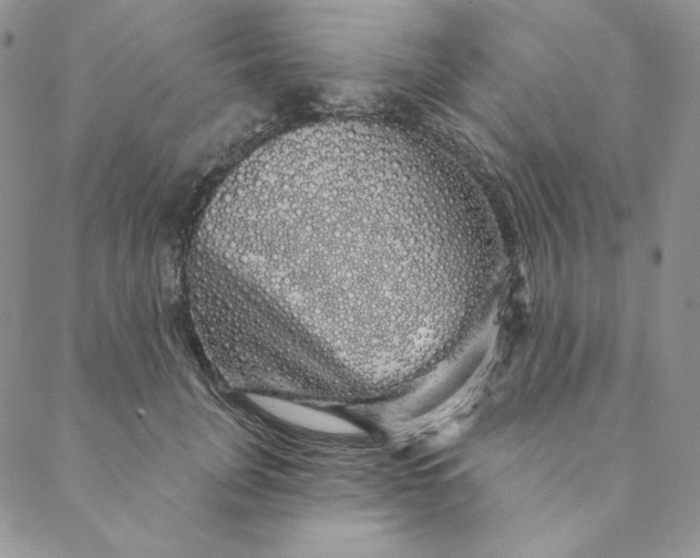 X0000088590751200706081327