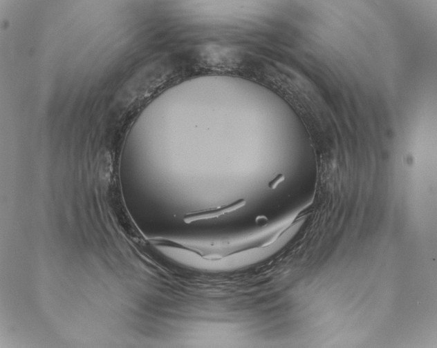 X0000088590752200706081327