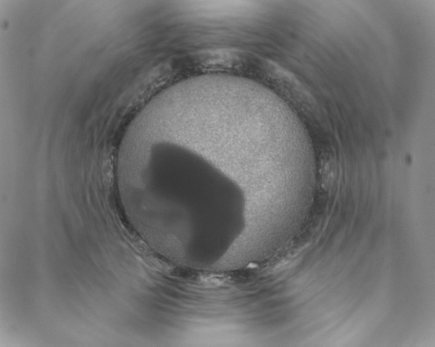 X0000088590753200706081327