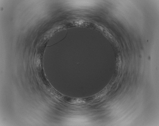 X0000088590754200706081327