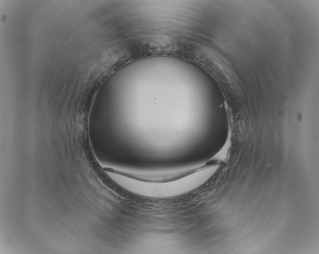 X0000088590756200706081327