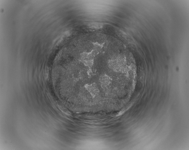 X0000088590758200706081327