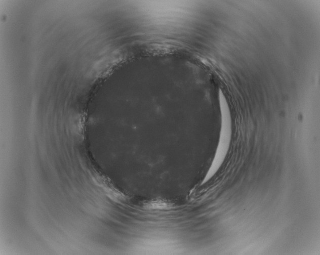 X0000088590759200706081327