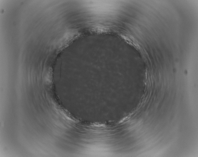 X0000088590760200706081327