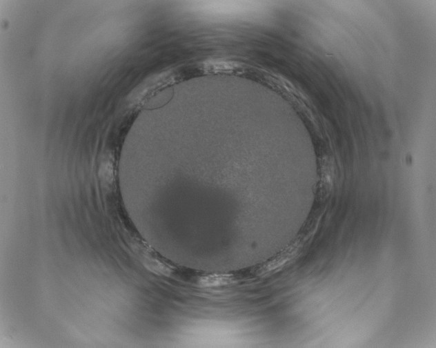 X0000088590761200706081327