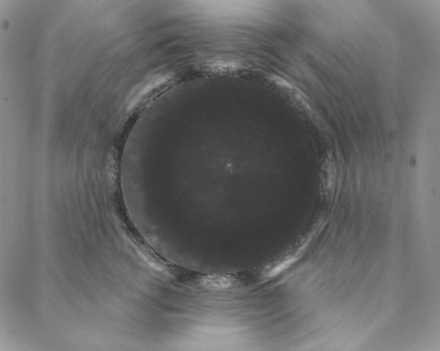 X0000088590762200706081328