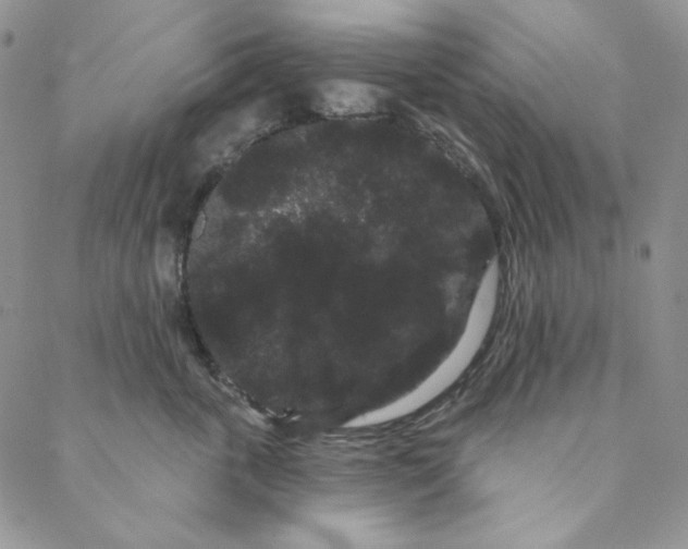 X0000088590763200706081328