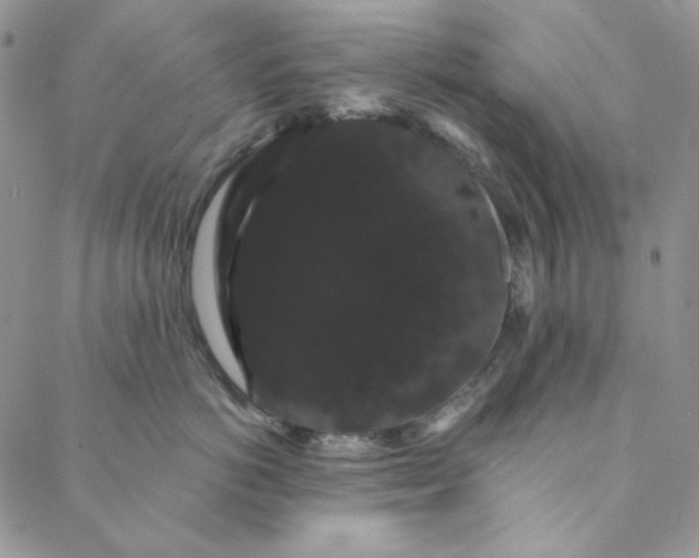 X0000088590766200706081328