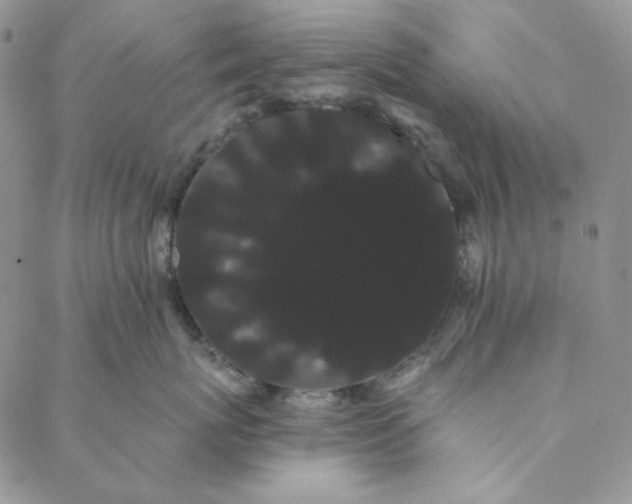 X0000088590767200706081328