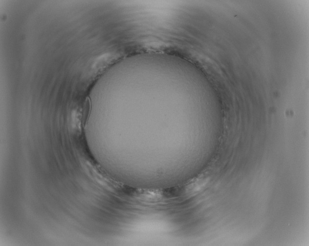 X0000088590768200706081328