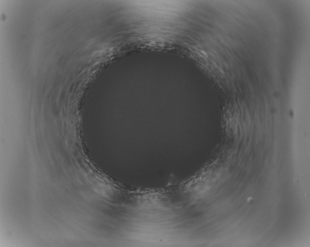 X0000088590769200706081327