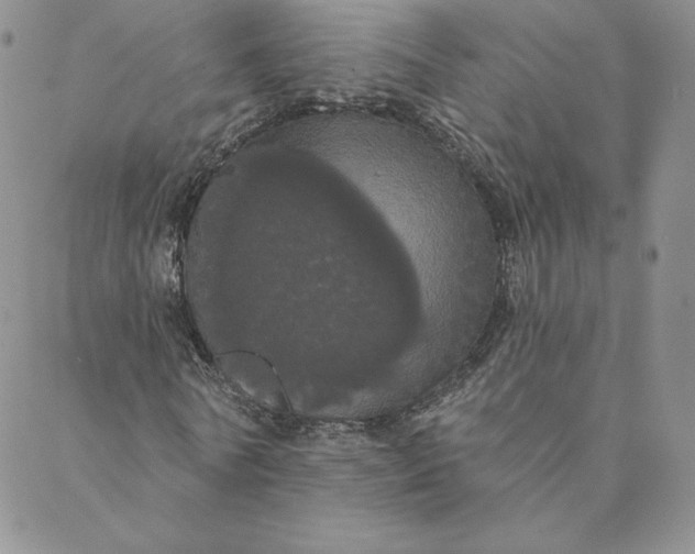 X0000088590770200706081327