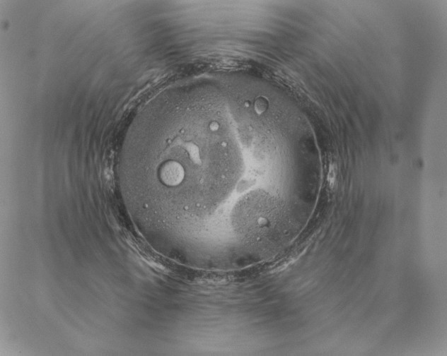 X0000088590771200706081327