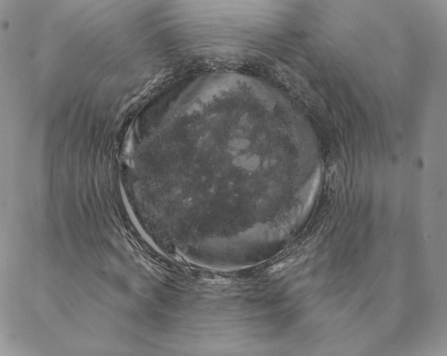 X0000088590772200706081327