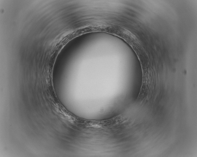 X0000088590773200706081327