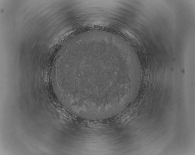 X0000088590774200706081327