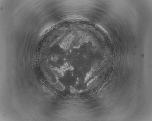 X0000088590775200706081327