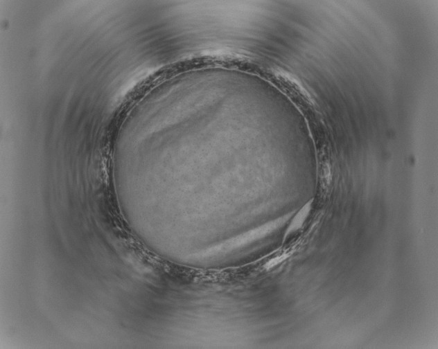 X0000088590776200706081327