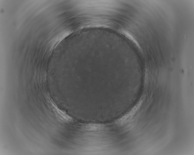 X0000088590777200706081327