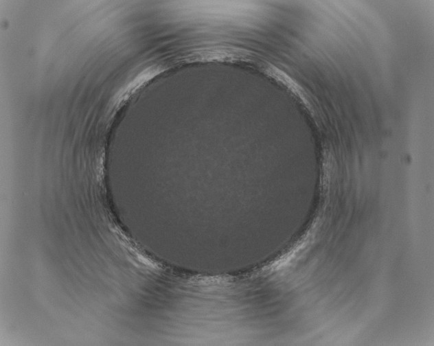 X0000088590778200706081327